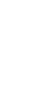 LSRF Logo in white 2025.