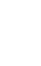Homepage LSRF white logo 2024.