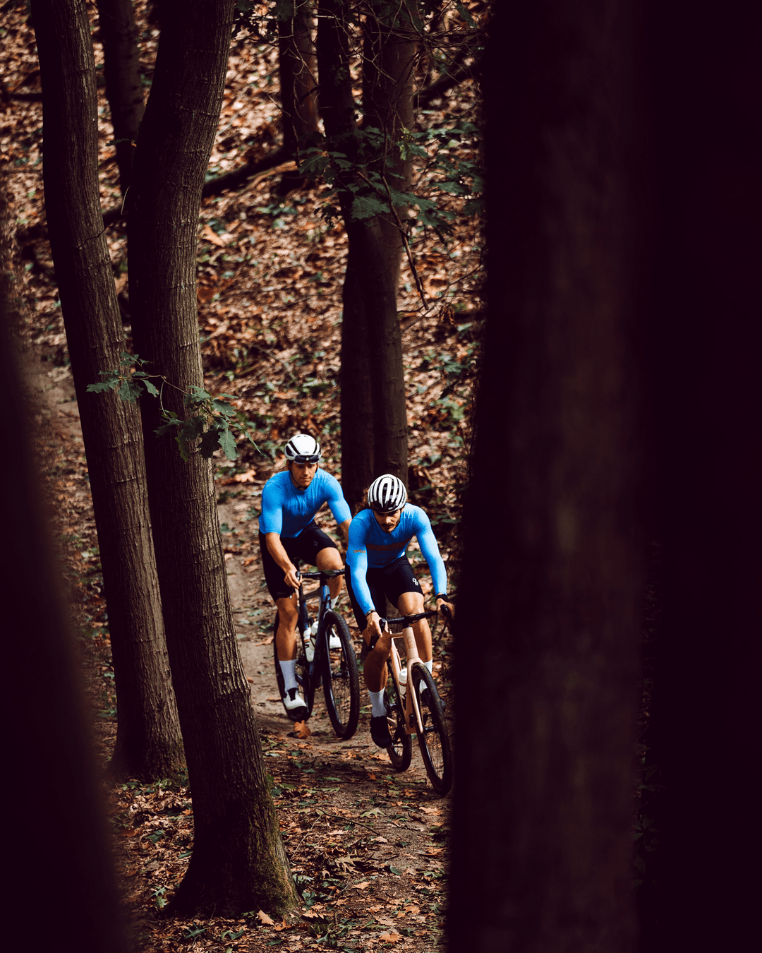 Cycling Race Collection - Race Jersey 2.0 LS, Ione - LSRF