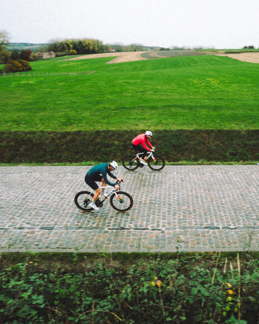 Cycling Race Collection - Thermal LS Jersey Troy - LSRF